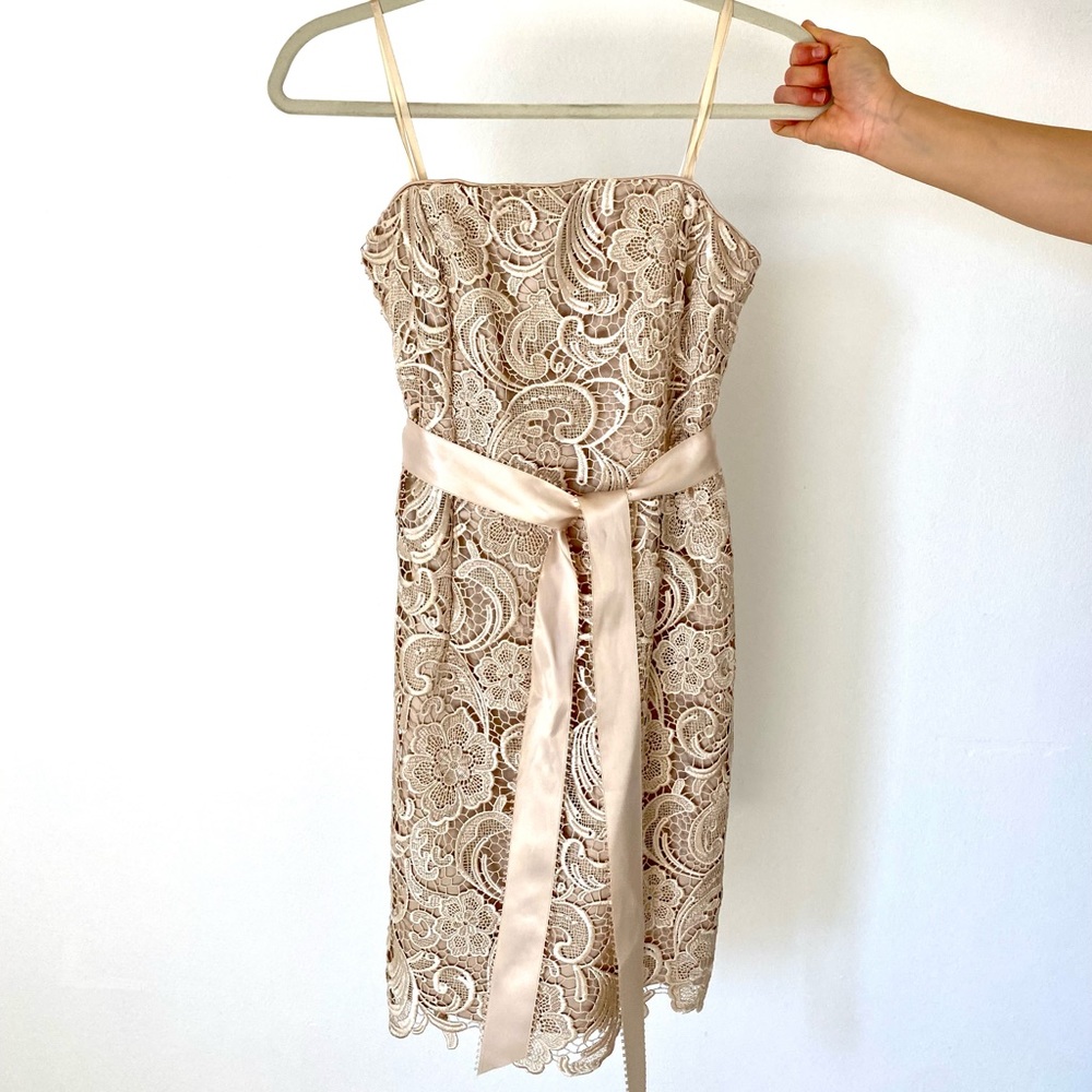 Beautiful Cache Lace Dress